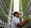 Why is vertical farming better?