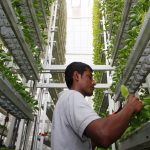 Why is vertical farming better?
