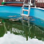Easy Ways to Clean a Pool That Has Been Sitting For Years